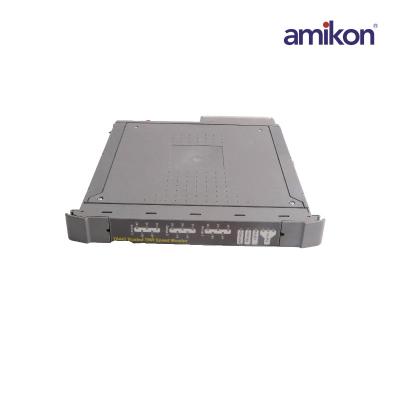 ICS TRIPLEX T8442 Hız Monitör Modülü
    <!--放弃</div>-->