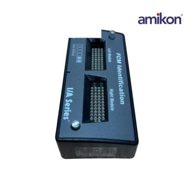 Foxboro P0914ZM FCM Tanımlama I/A Serisi Sol/Sağ Modülü