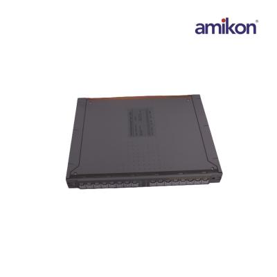 ICS Tripleks AMIKON T8240C IO Şasi