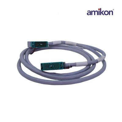 Triconex Invensys 4000094-310 Kablo Düzeneği