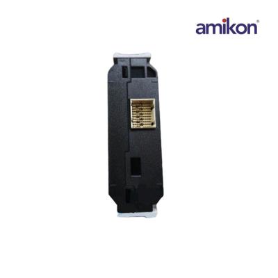 EMERSON 12P4987X062 KL2101X1-BA1 Charm I/O Kartı