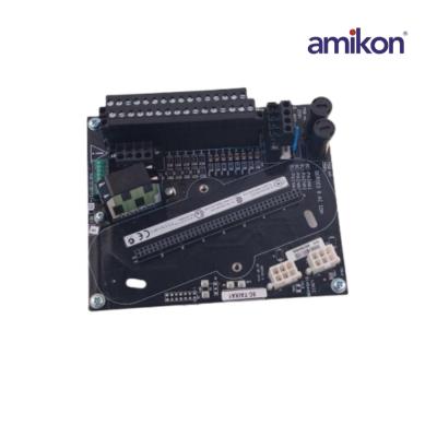 Honeywell 8C-TAIXA1 51307127-175 Analog Giriş Modülü