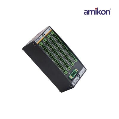 Bachmann EM213 Endüstri Ethernet Ana Modülü