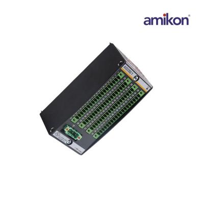 Bachmann EM213 Endüstri Ethernet Ana Modülü