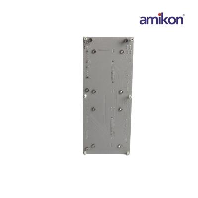 Honeywell F860-CA Yedekli Fieldbus Güç Kaynağı Modülü