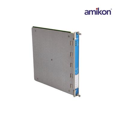 Bently Nevada 3500/60 133811-01 Sıcaklık Monitör Modülü