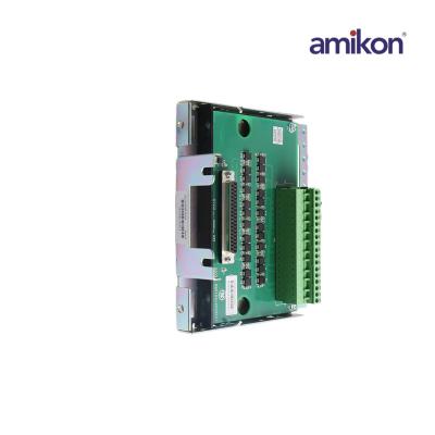 General Electric IS200HSLAH2A Yüksek Hızlı Seri Bağlantı Arayüz Kartı