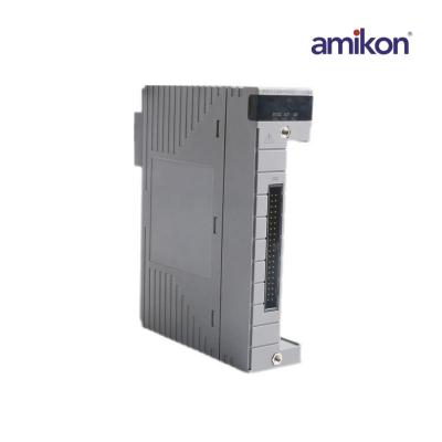 Yokogawa AAI135-H00 S1 Analog Giriş Modülü
