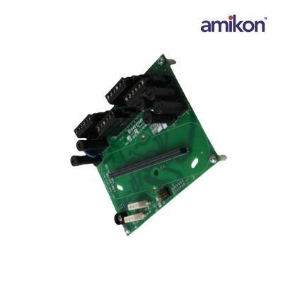  8C-TAIM01/51306999-175