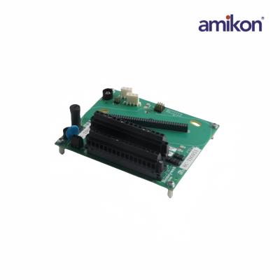 8C-TAOX61/51306981-175