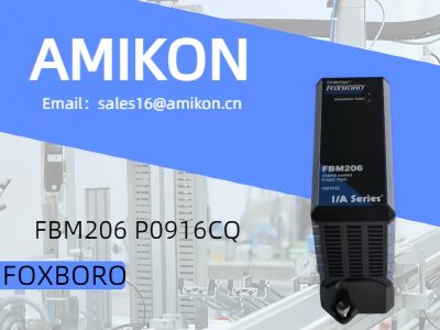 FOXBORO FBM206 P0916CQ İzole Giriş Modülü